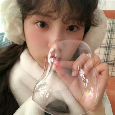 灵通汪星人