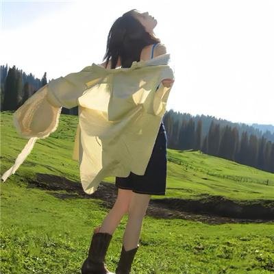 黑狐：希特勒